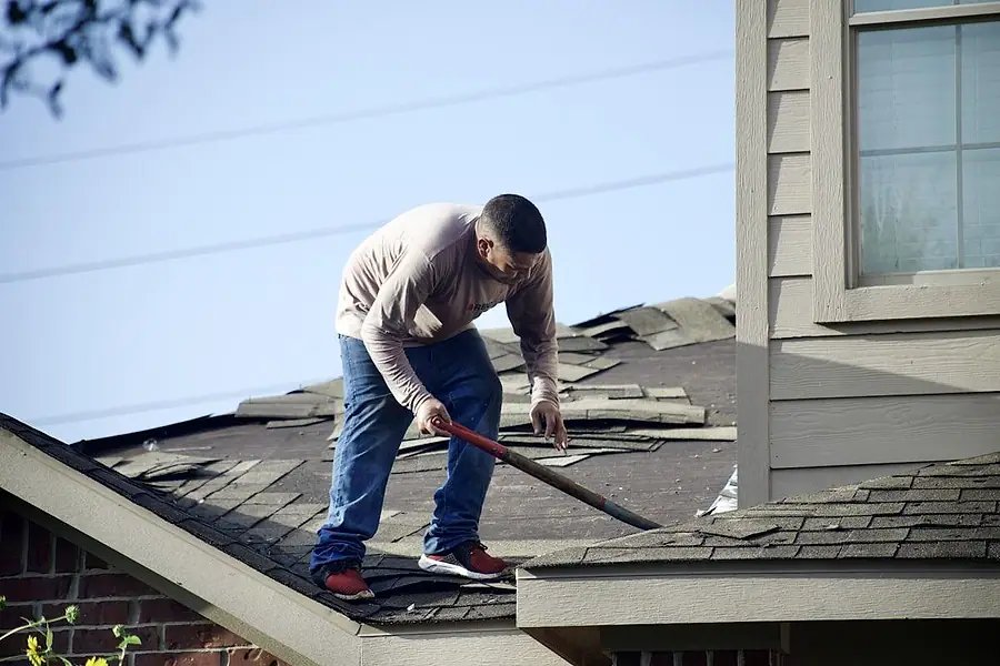 Worker stripping old asphalt shingles from a residential roof deck with a tear-off shovel
